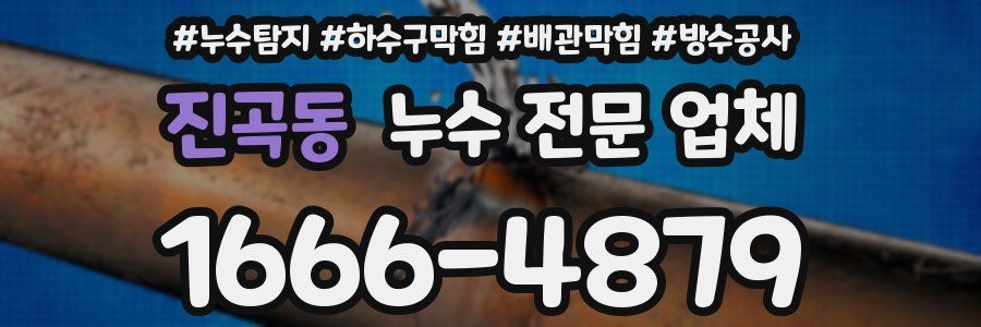 진곡동 누수 전문 업체