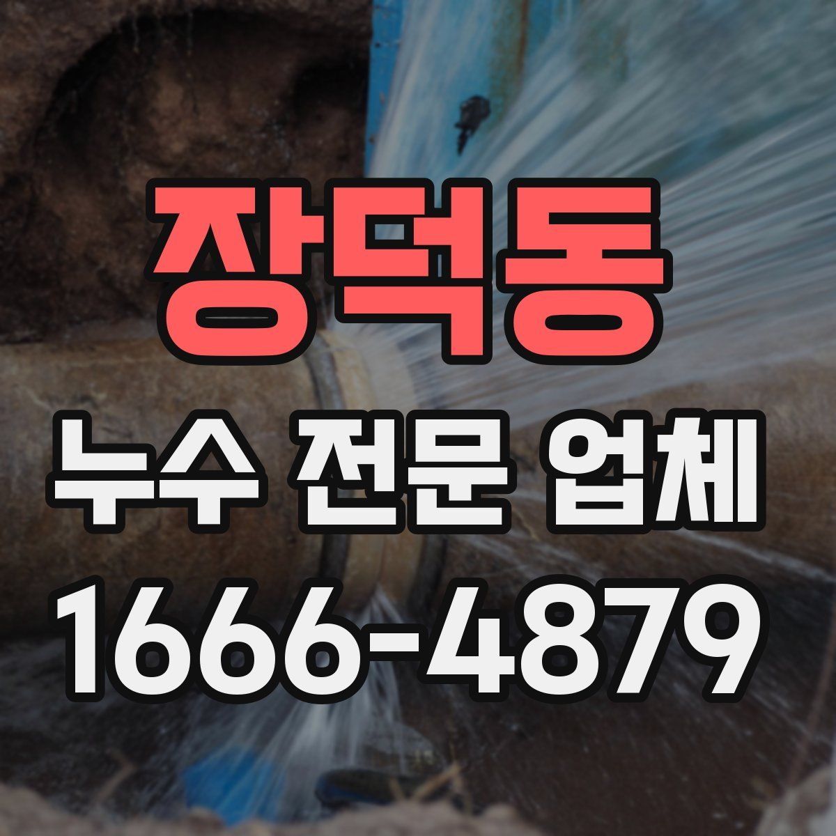 장덕동 누수 전문 업체