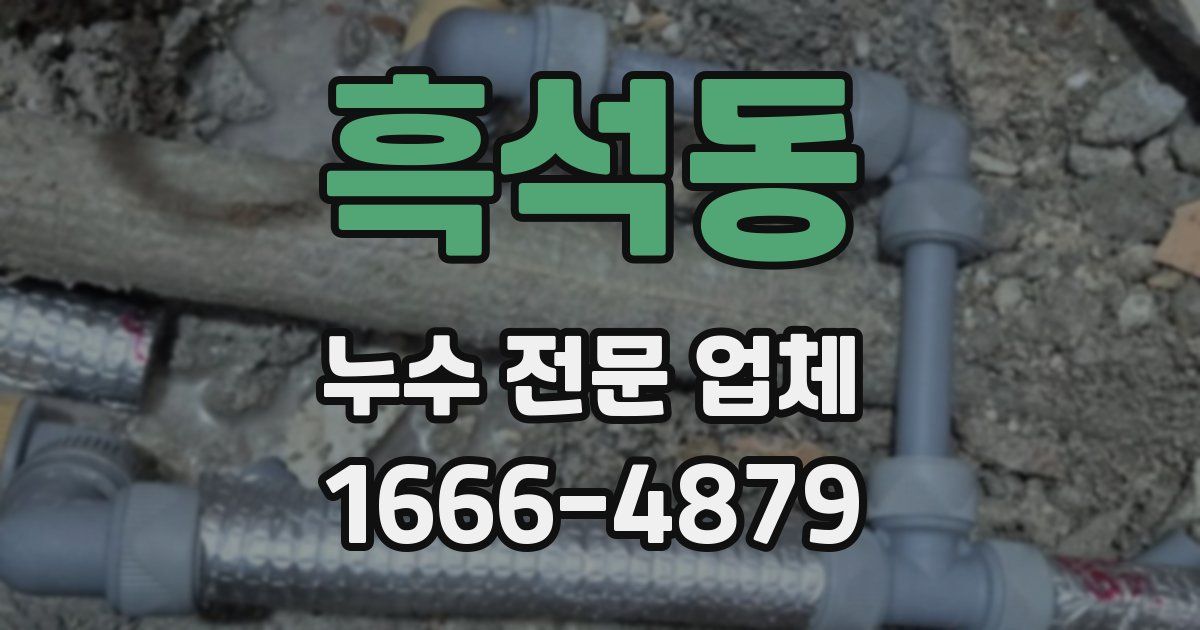 흑석동 누수 전문 업체