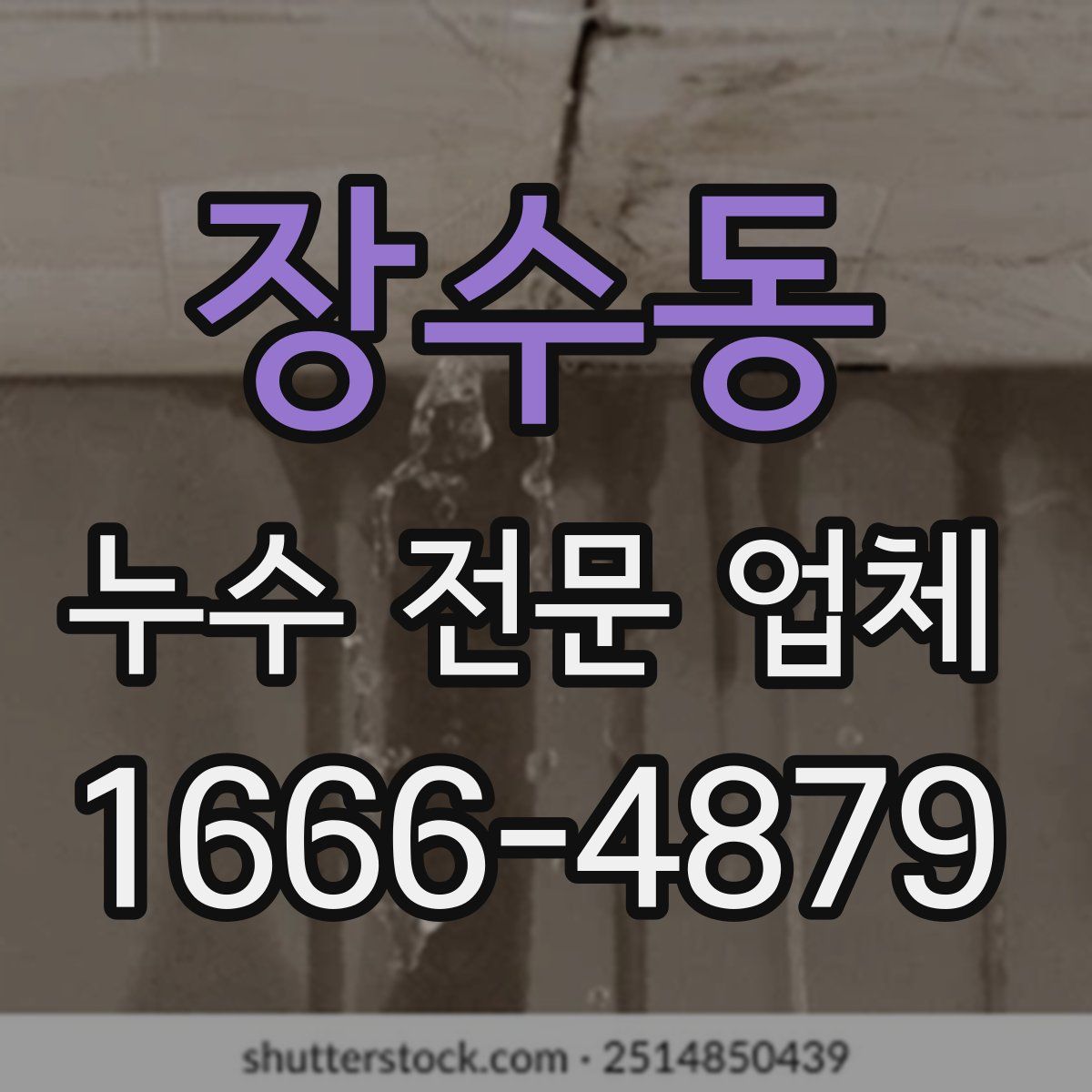 장수동 누수 전문 업체