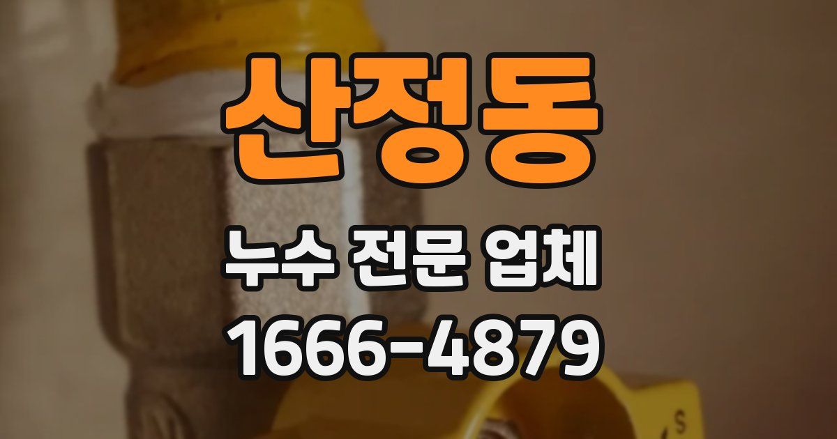 산정동 누수 전문 업체