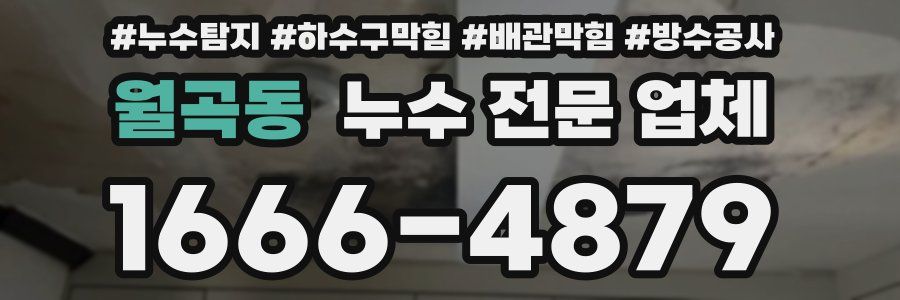 월곡동 누수 전문 업체