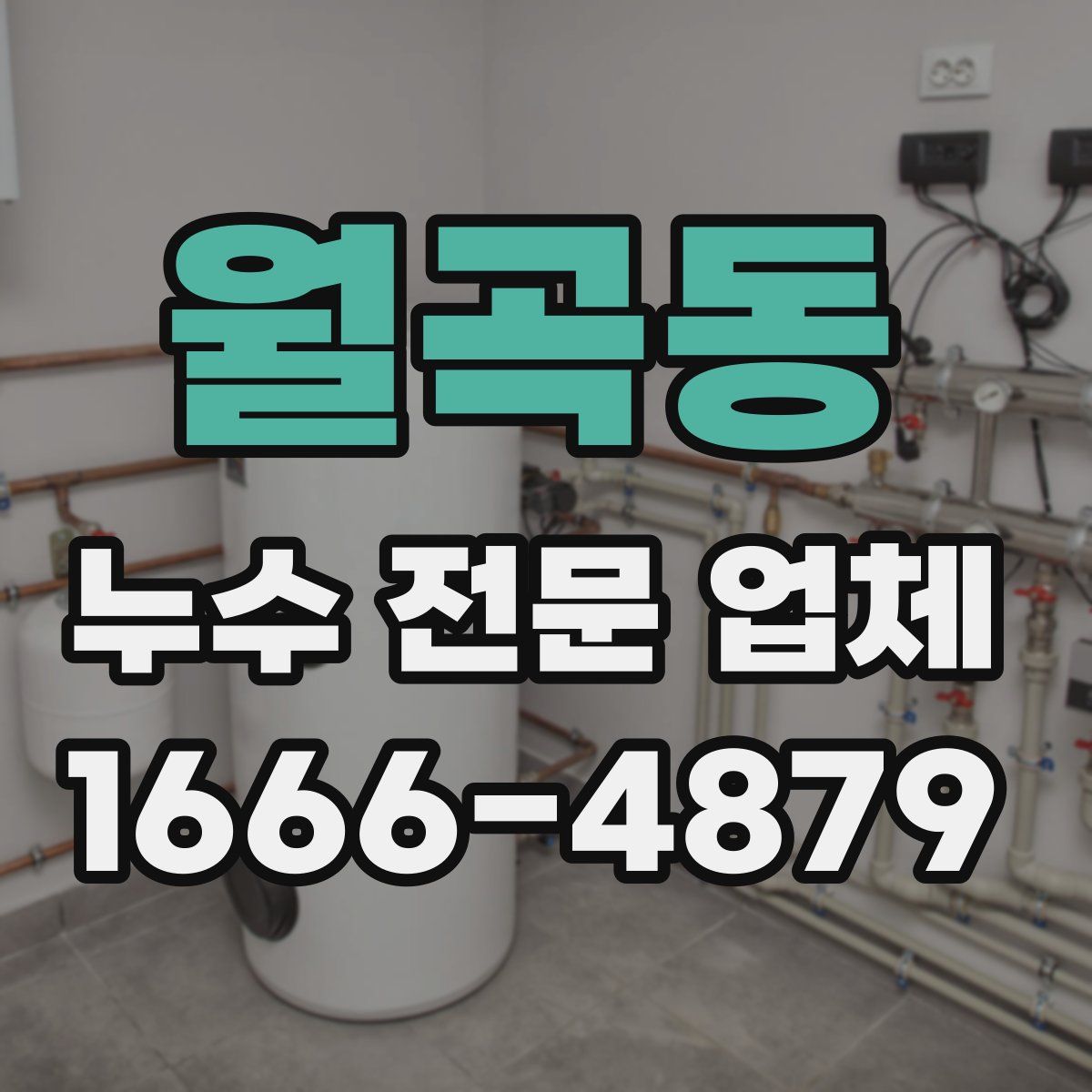 월곡동 누수 전문 업체