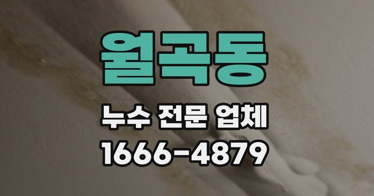 월곡동 누수 전문 업체