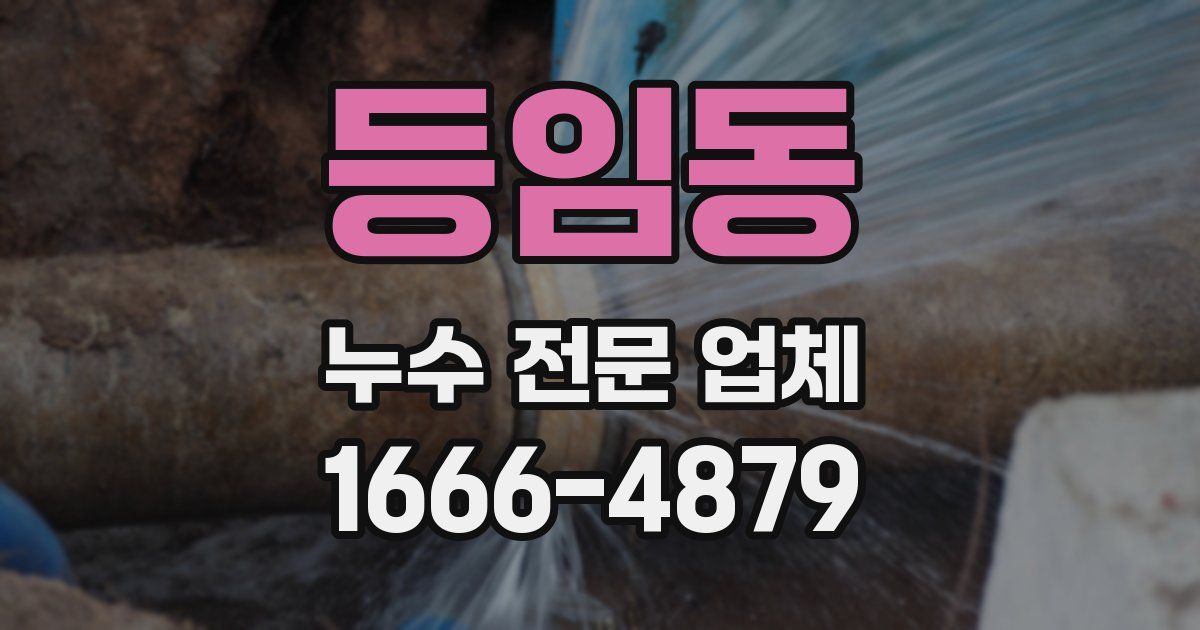 등임동 누수 전문 업체
