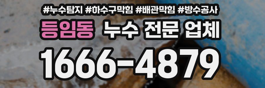 등임동 누수 전문 업체