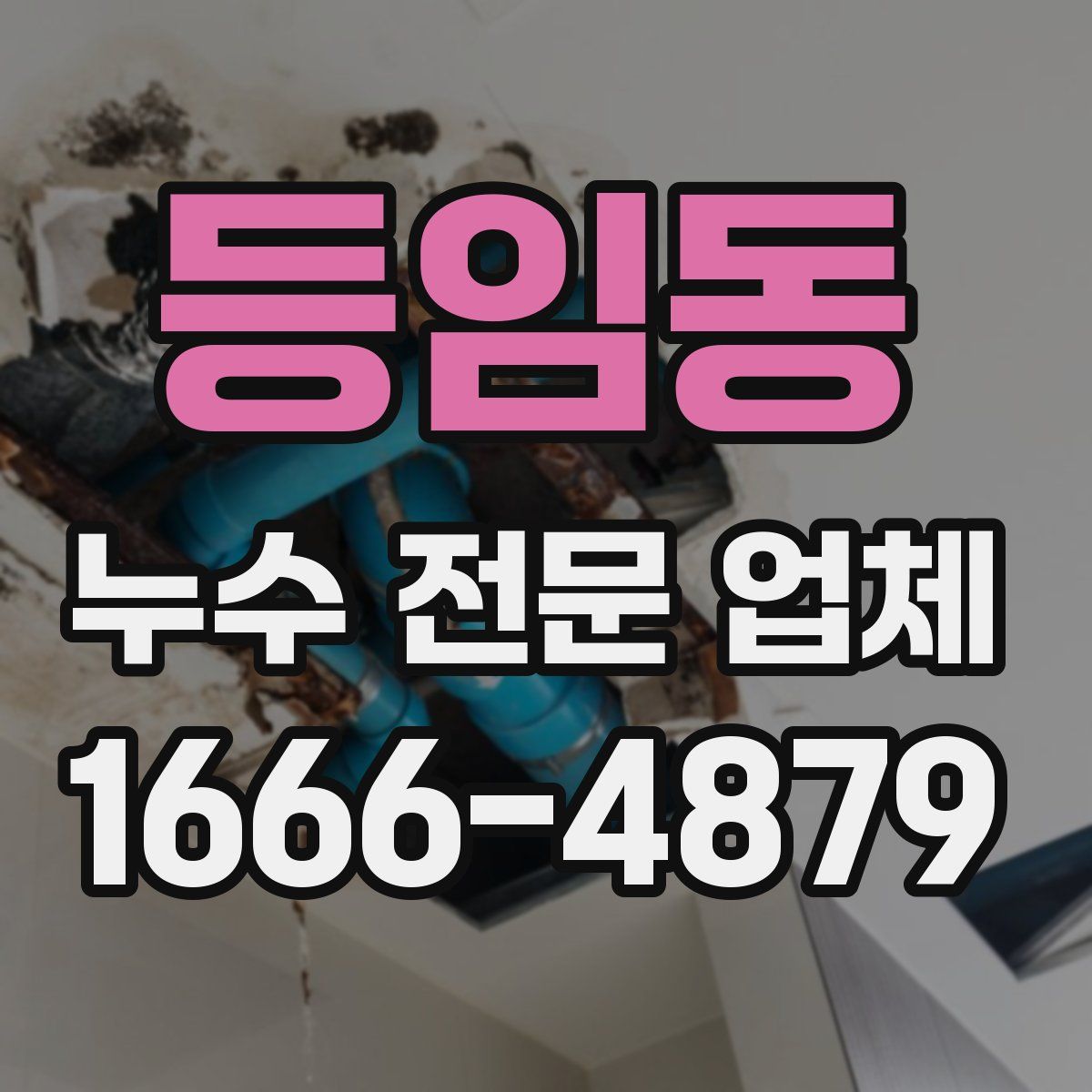 등임동 누수 전문 업체