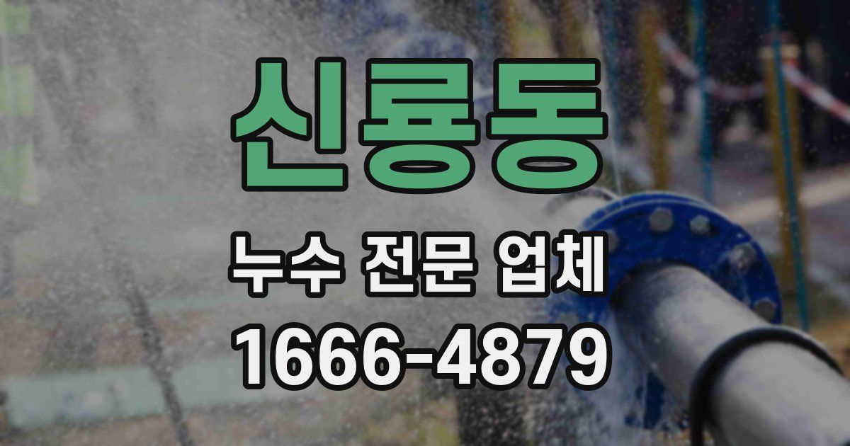 신룡동 누수 전문 업체