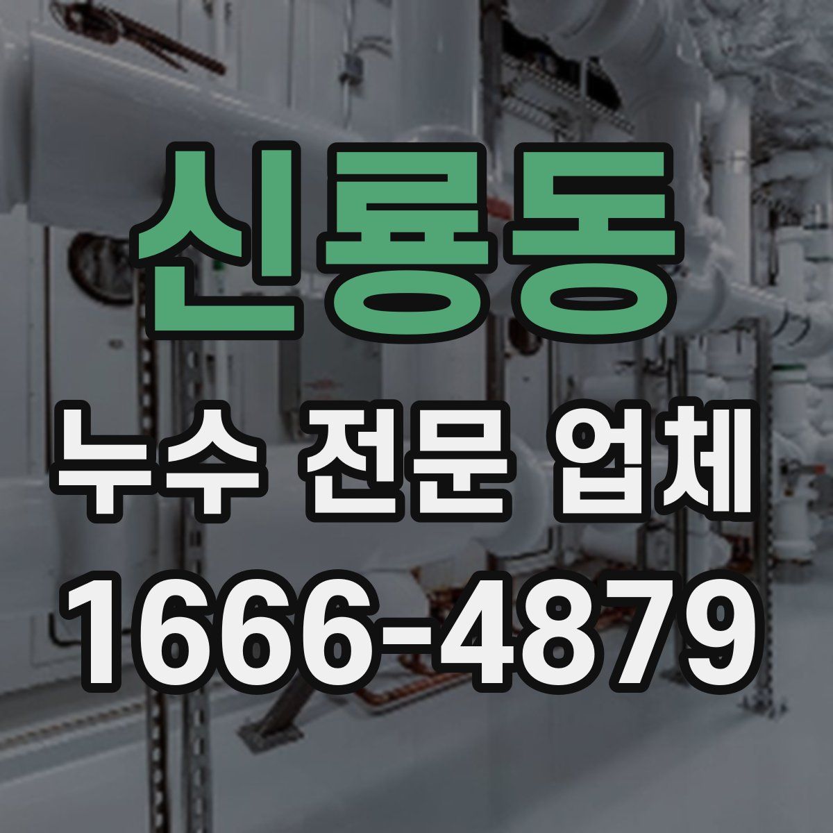 신룡동 누수 전문 업체