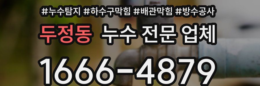 두정동 누수 전문 업체