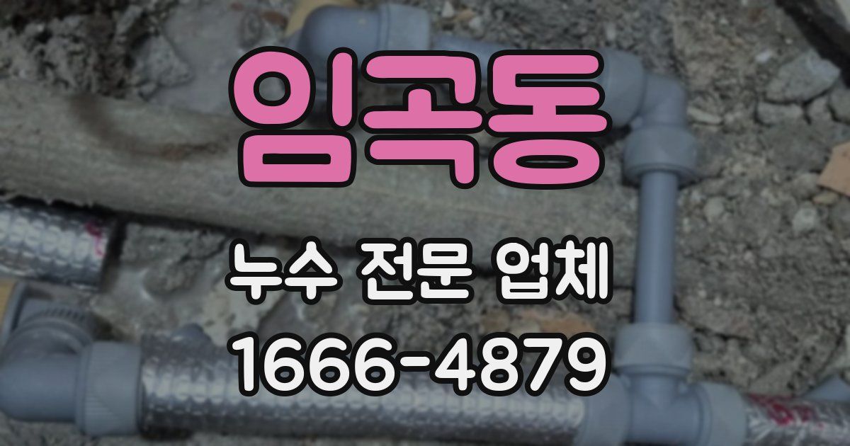 임곡동 누수 전문 업체