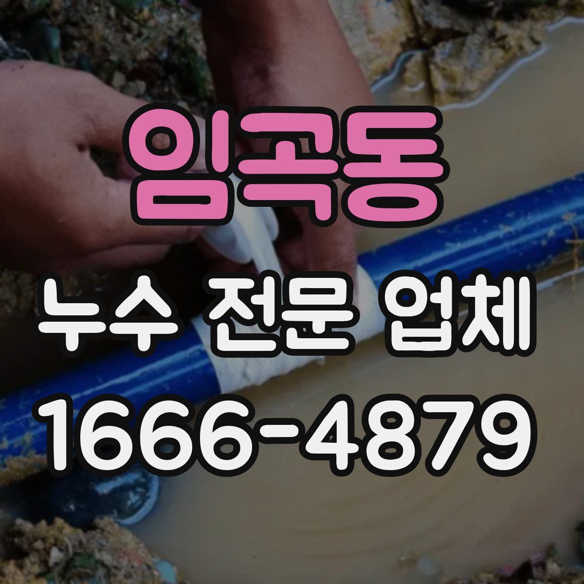 임곡동 누수 전문 업체