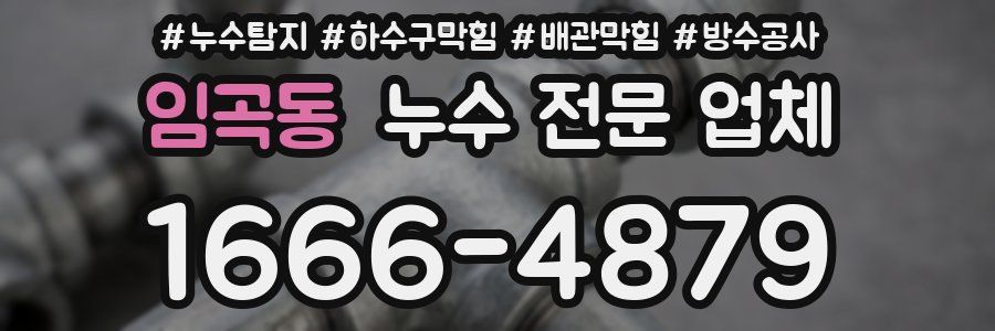 임곡동 누수 전문 업체