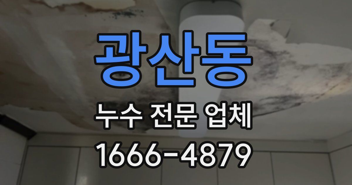 광산동 누수 전문 업체
