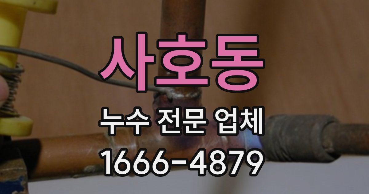 사호동 누수 전문 업체