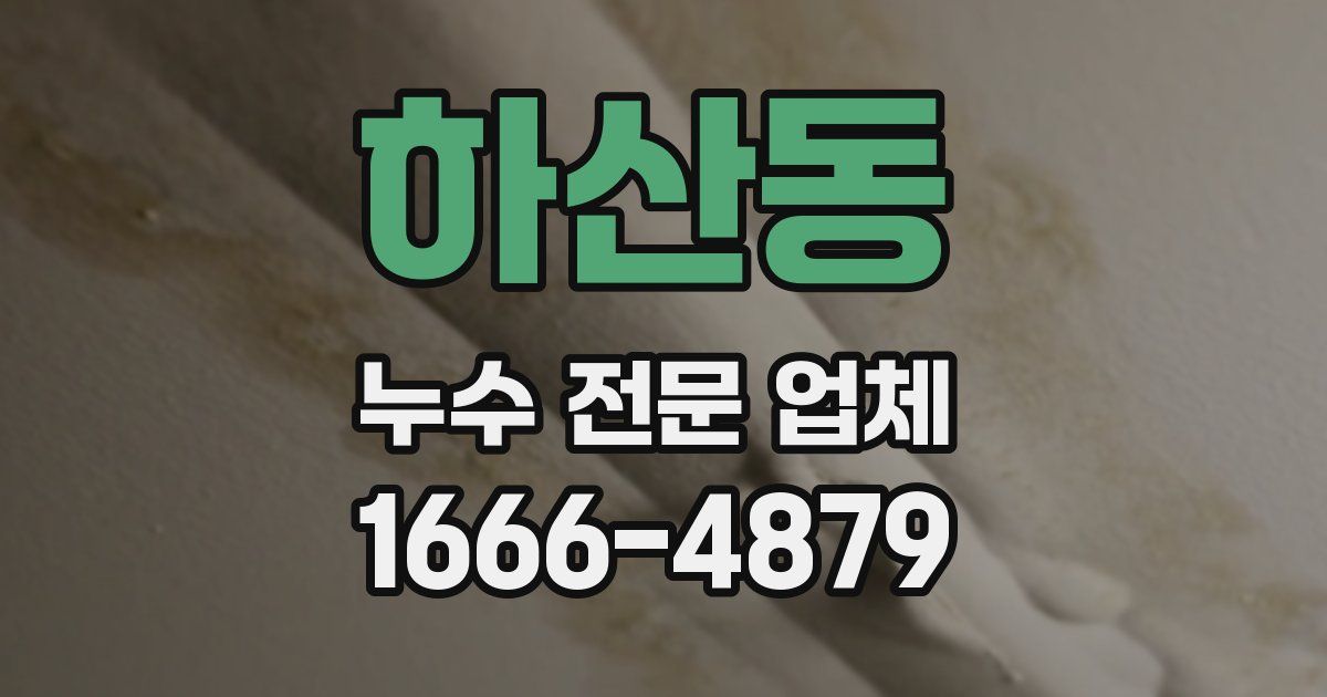 하산동 누수 전문 업체