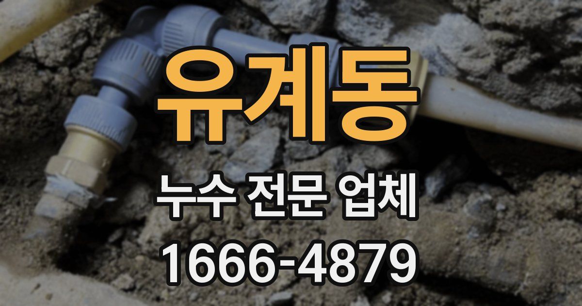 유계동 누수 전문 업체