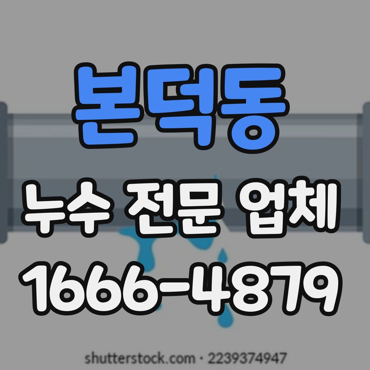 본덕동 누수 전문 업체