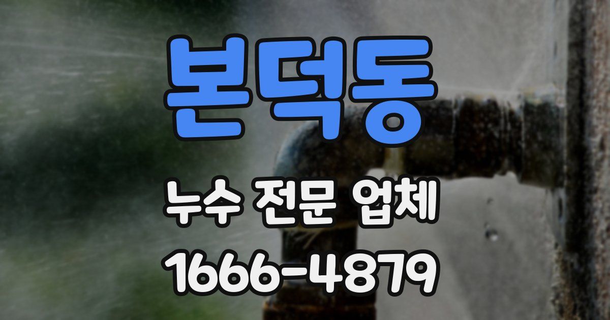 본덕동 누수 전문 업체
