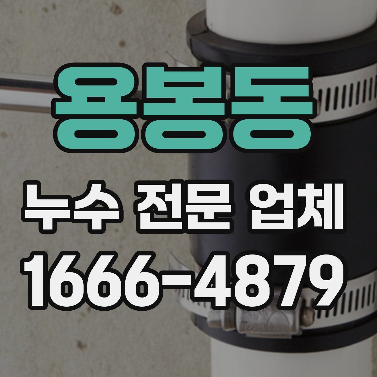용봉동 누수 전문 업체