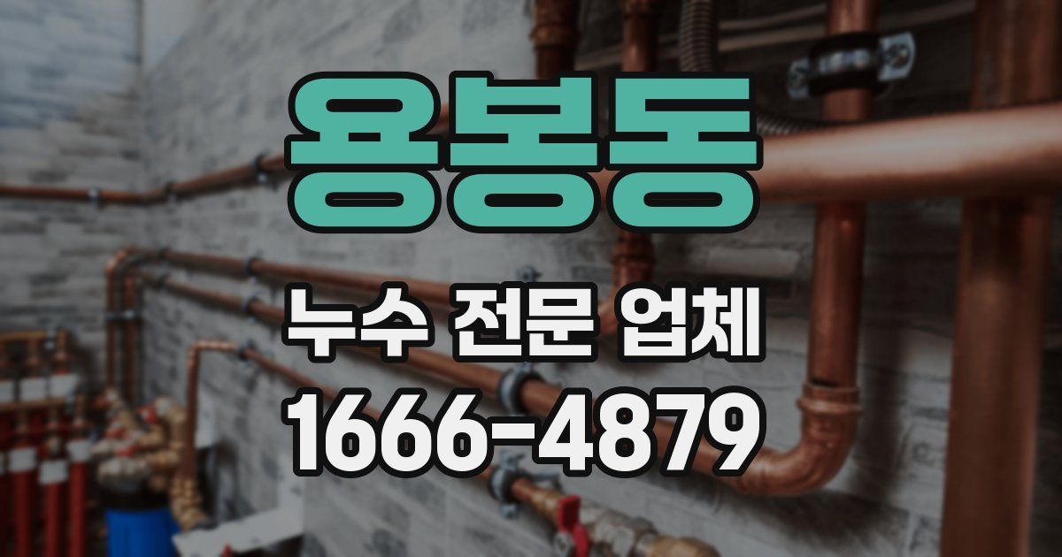 용봉동 누수 전문 업체