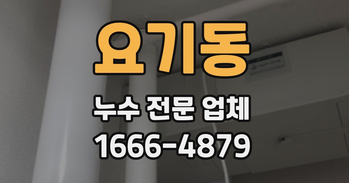 요기동 누수 전문 업체