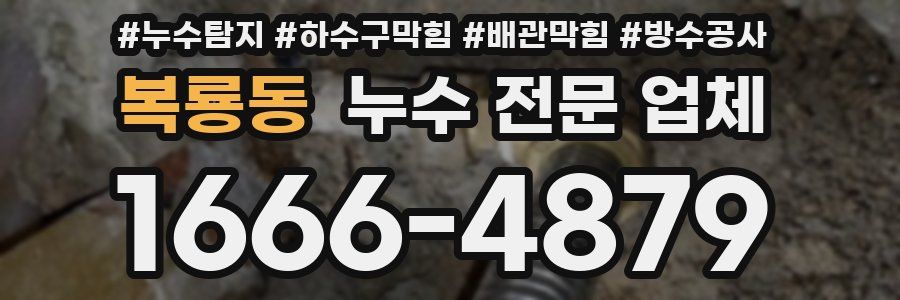 복룡동 누수 전문 업체