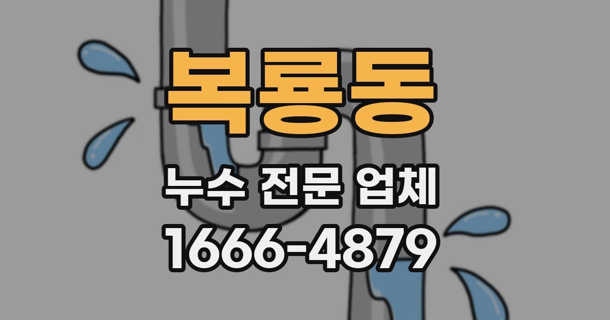 복룡동 누수 전문 업체