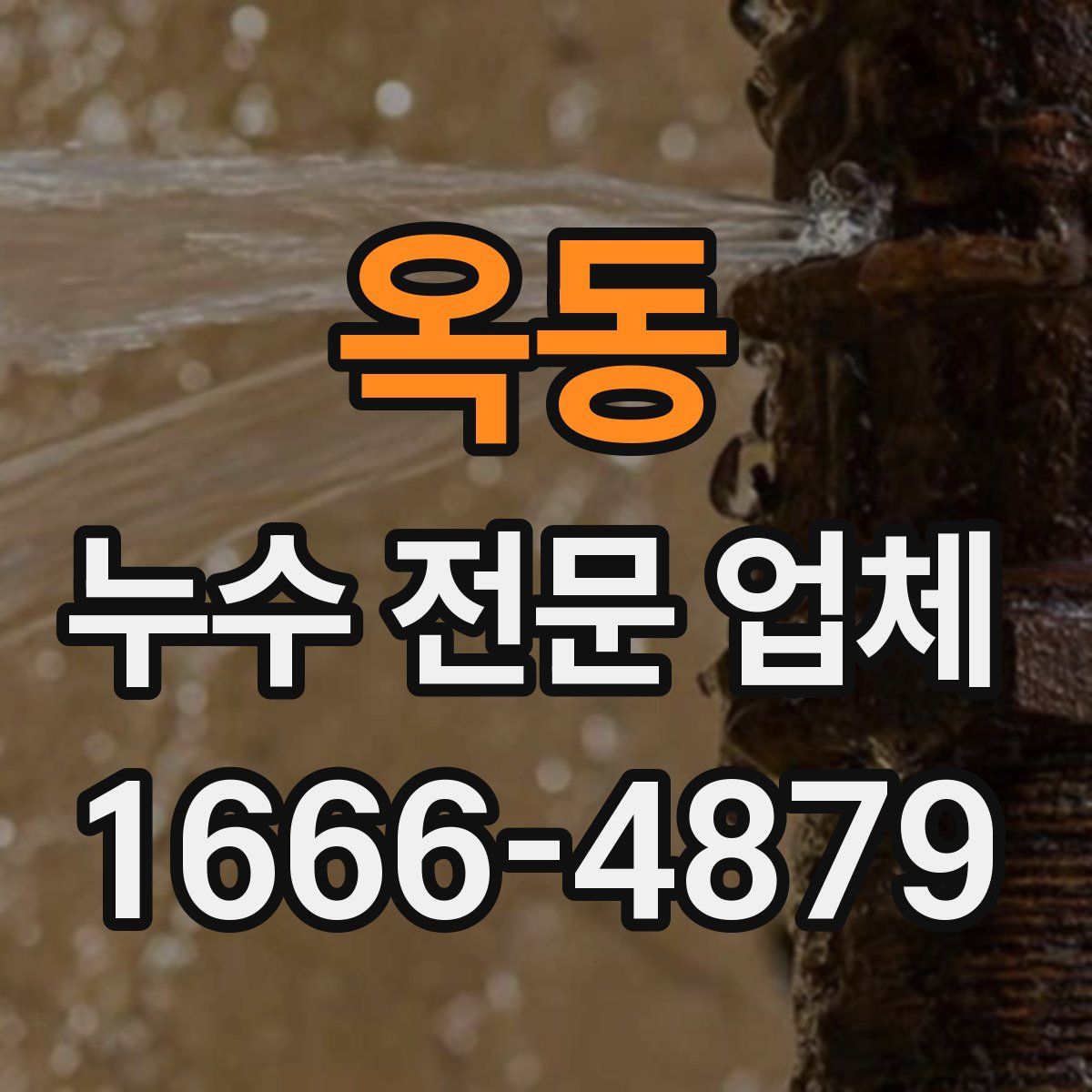 옥동 누수 전문 업체