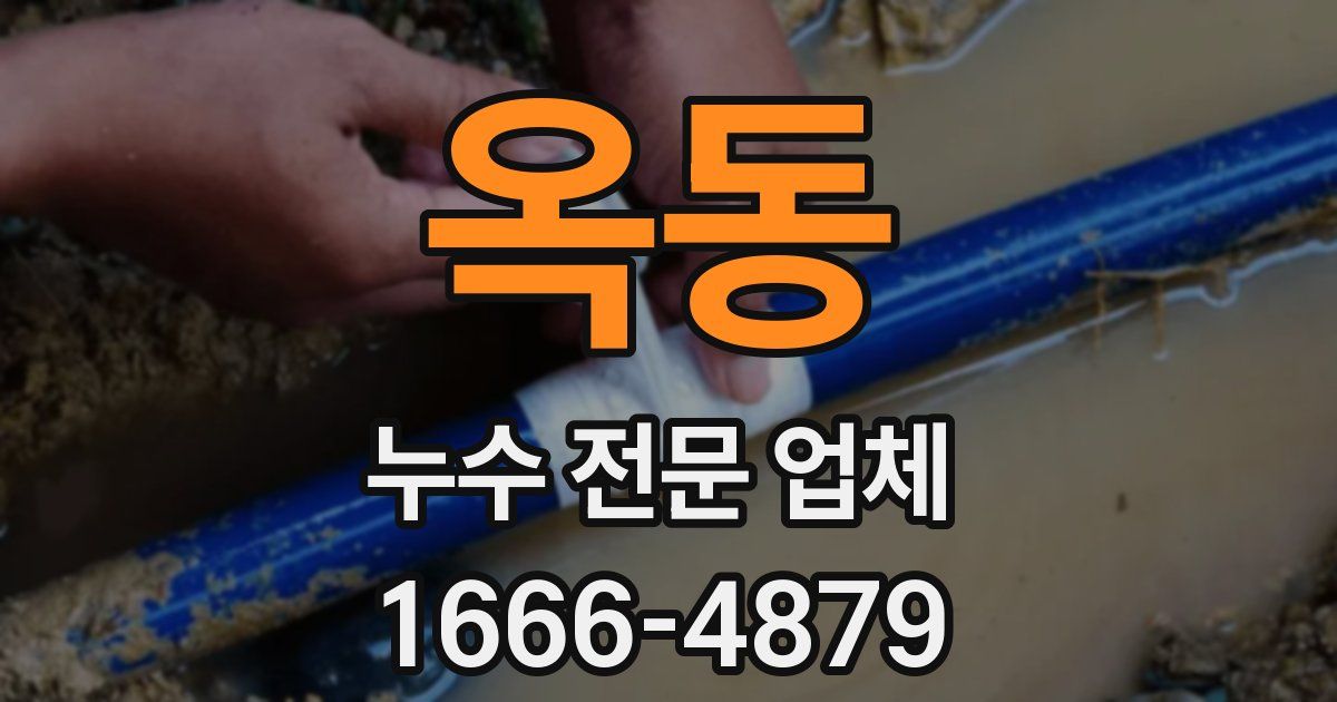 옥동 누수 전문 업체