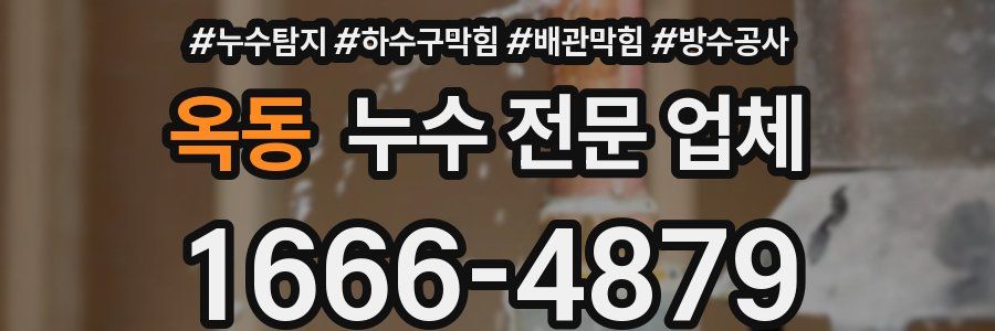 옥동 누수 전문 업체
