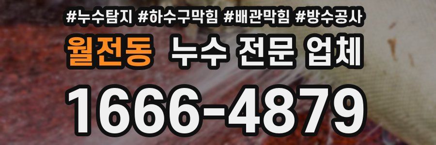 월전동 누수 전문 업체