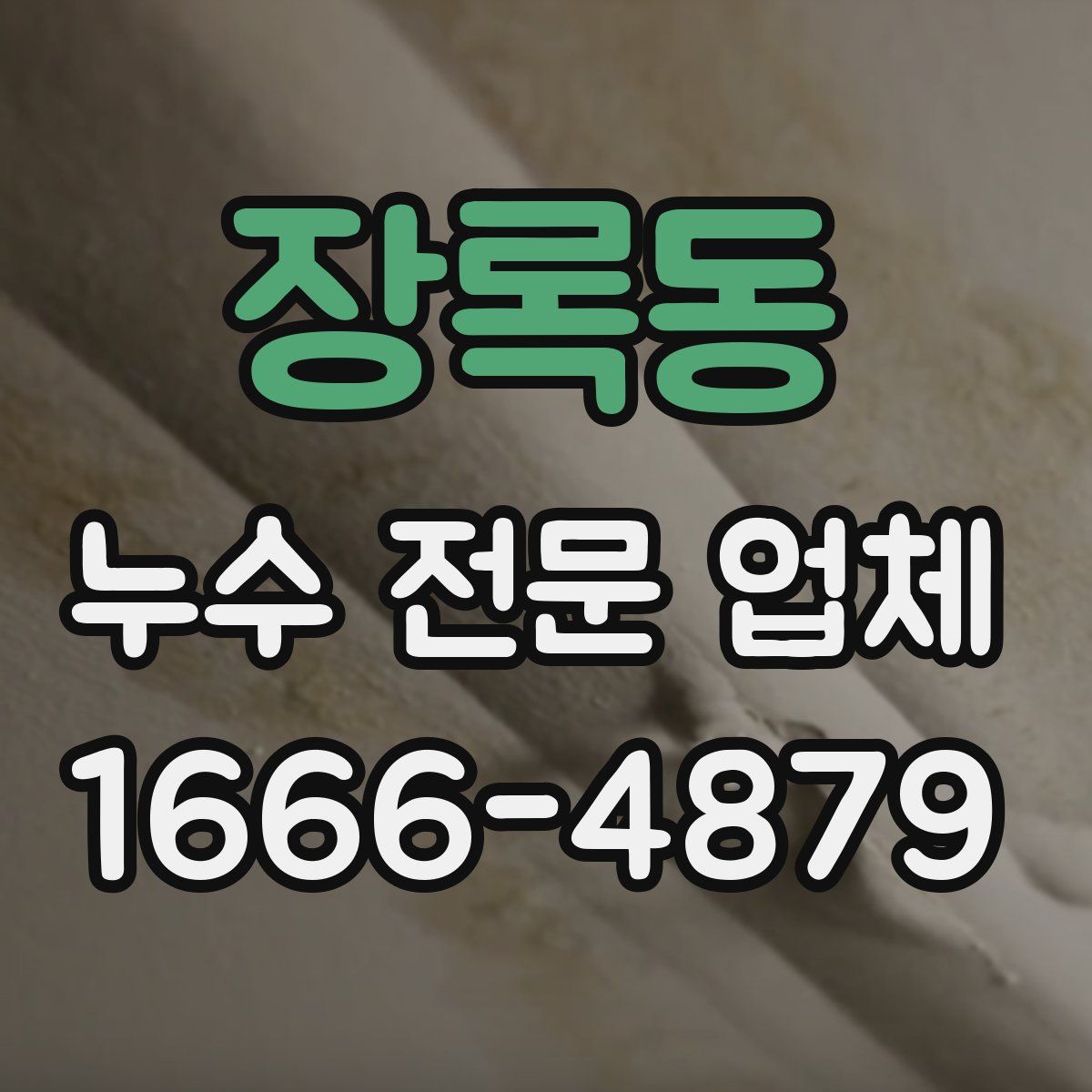 장록동 누수 전문 업체