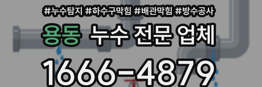 용동 누수 전문 업체