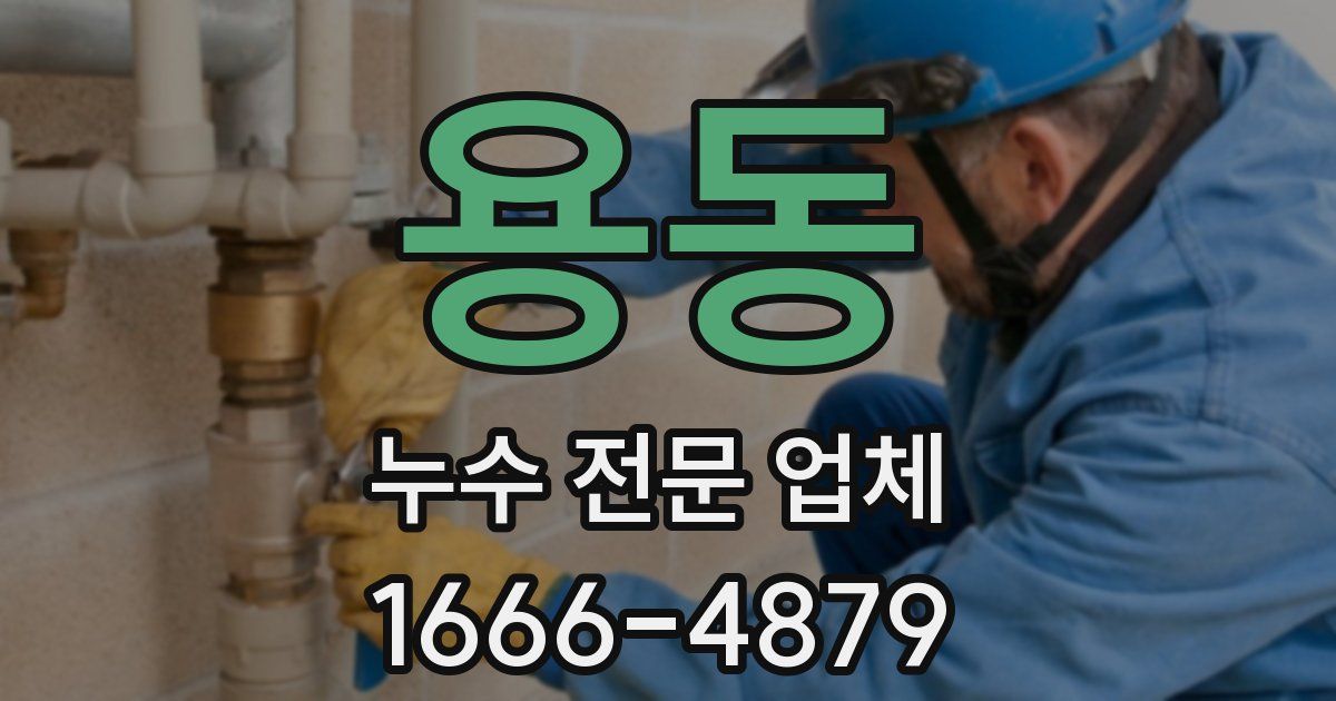 용동 누수 전문 업체