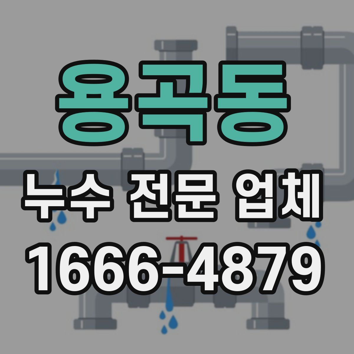 용곡동 누수 전문 업체