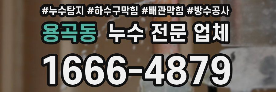 용곡동 누수 전문 업체