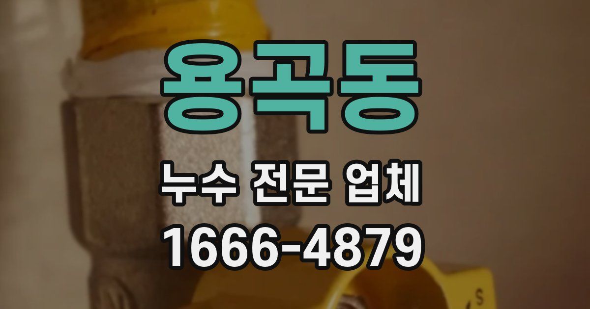 용곡동 누수 전문 업체