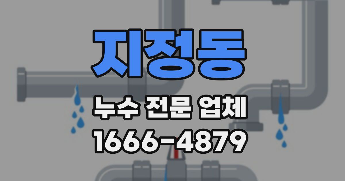지정동 누수 전문 업체