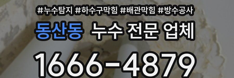 동산동 누수 전문 업체
