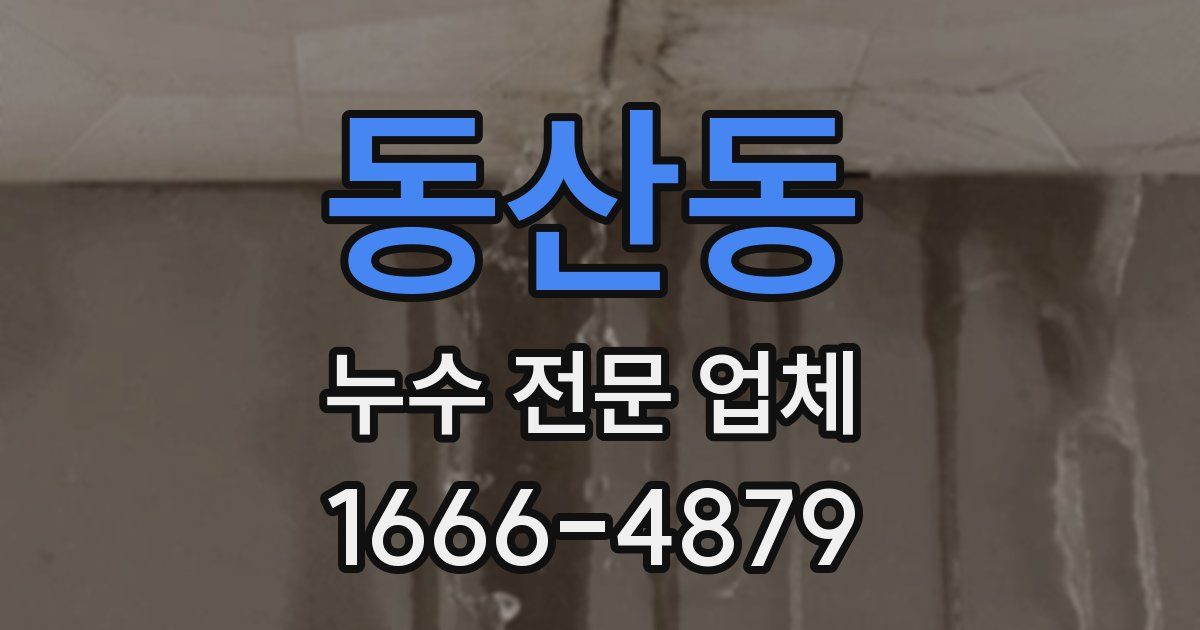 동산동 누수 전문 업체