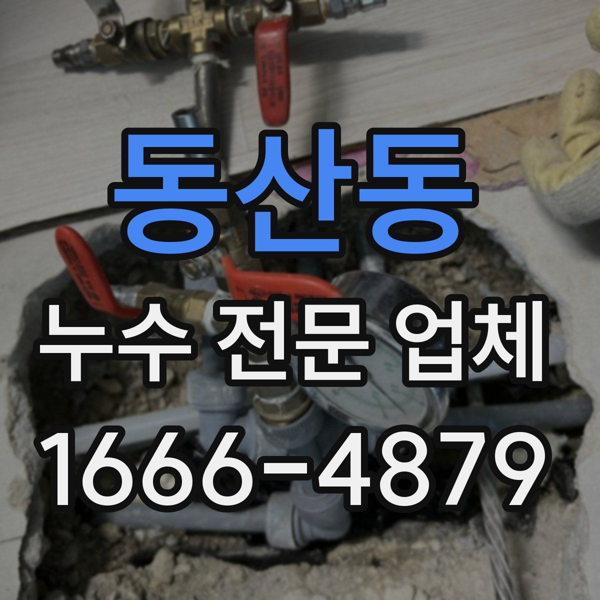 동산동 누수 전문 업체
