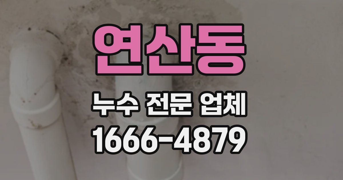 연산동 누수 전문 업체
