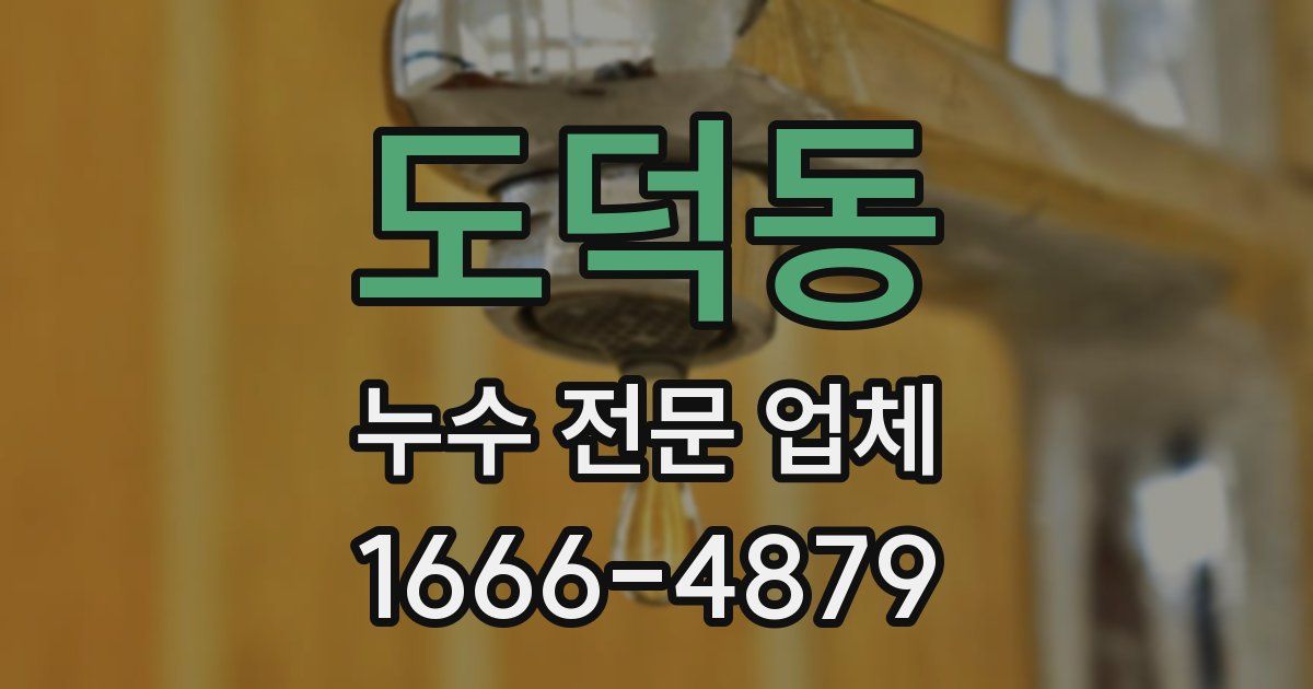 도덕동 누수 전문 업체