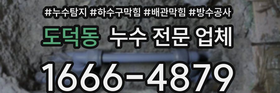 도덕동 누수 전문 업체
