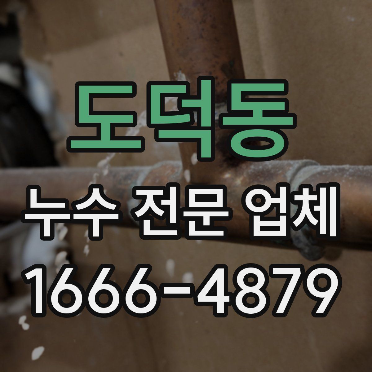 도덕동 누수 전문 업체