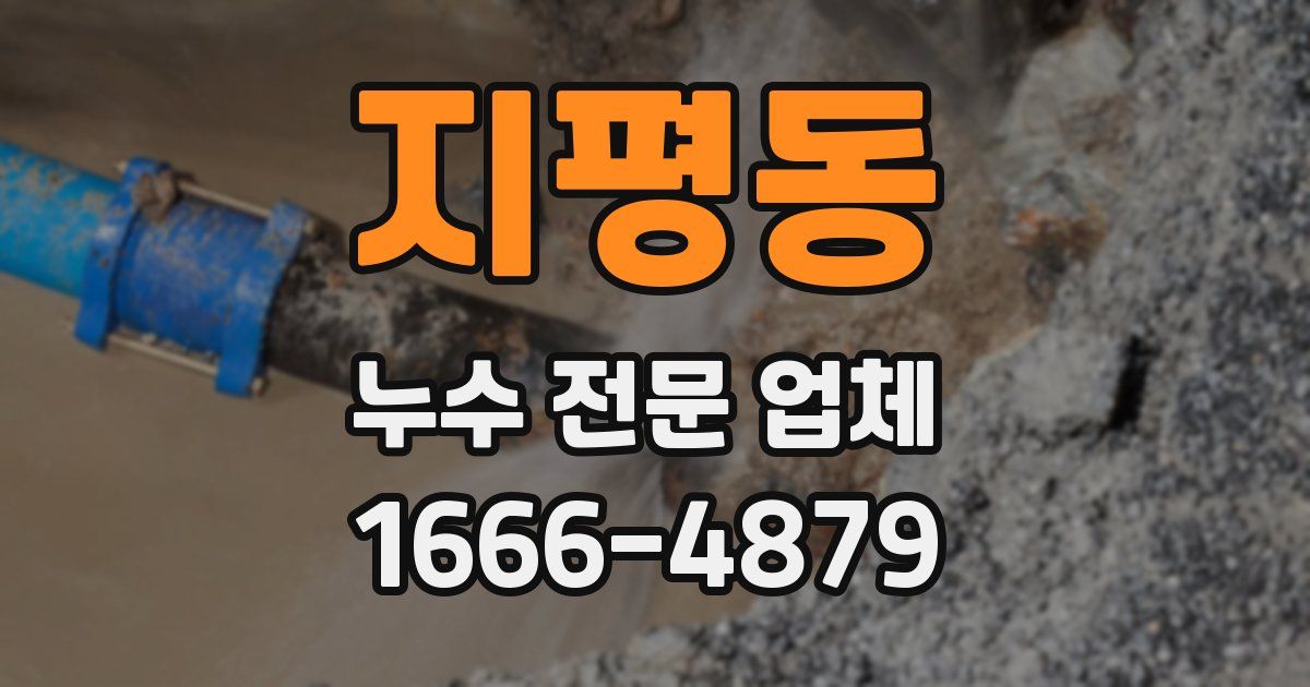 지평동 누수 전문 업체