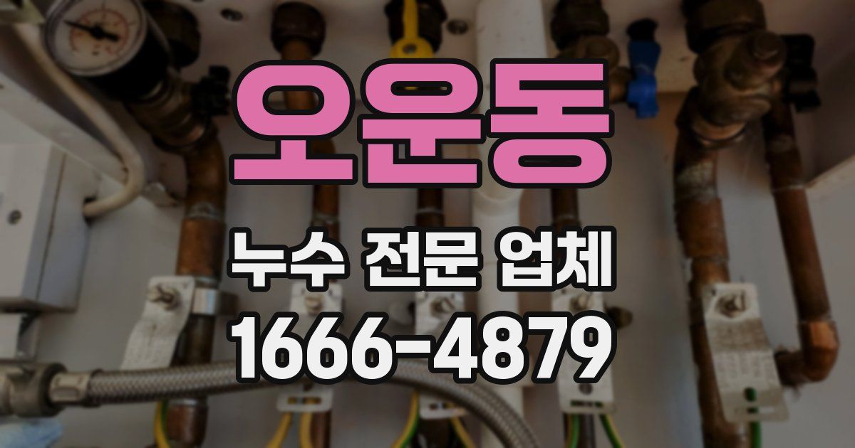 오운동 누수 전문 업체