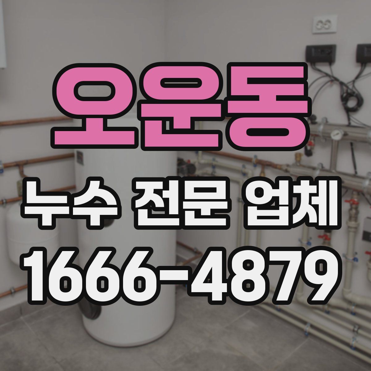 오운동 누수 전문 업체