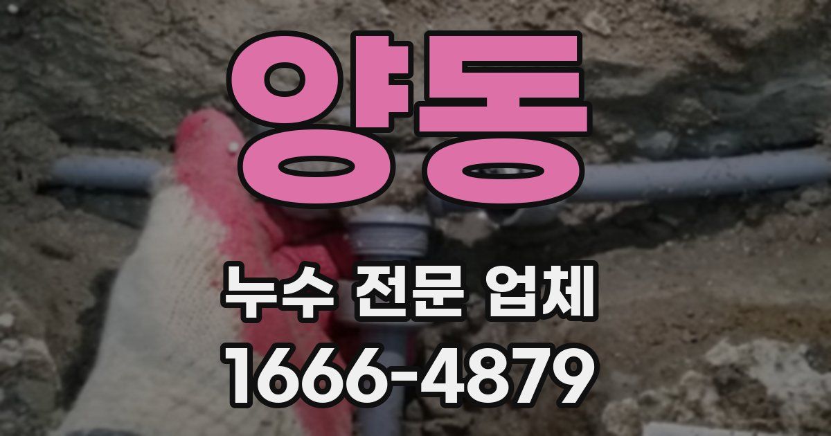 양동 누수 전문 업체